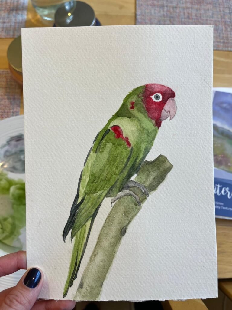 Red-Headed Parrot