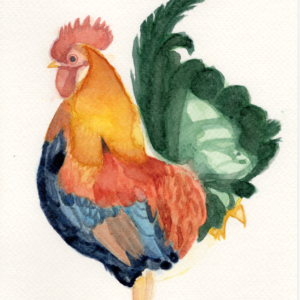 Sticking Up Tail Frisky Rooster