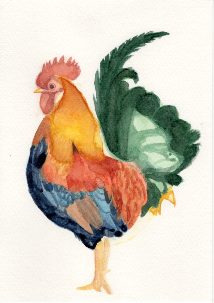 Sticking Up Tail Frisky Rooster